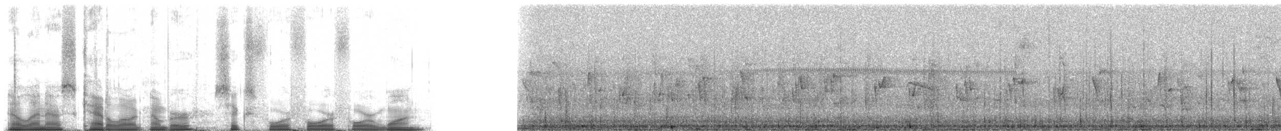 Fiji Streaked Fantail - ML64441