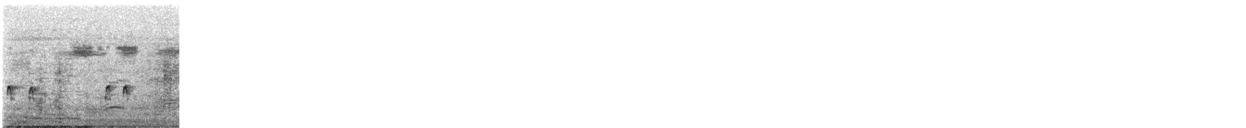 Птах sp. - ML644410016