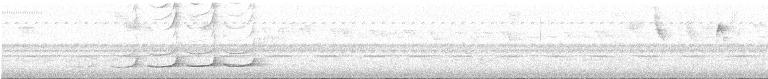 Northern Barred-Woodcreeper - ML644410062