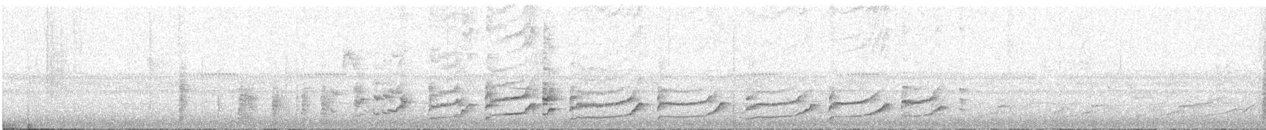 Northern Barred-Woodcreeper - ML644410178