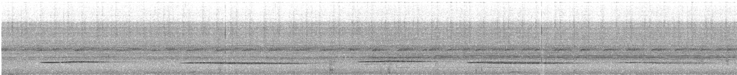 コシギダチョウ - ML644410691