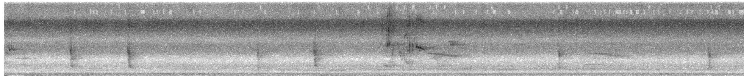 Quiscale bronzé - ML644411095