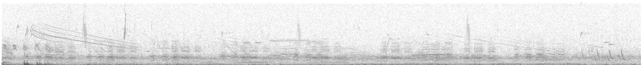 Yellowish Pipit - ML644411501