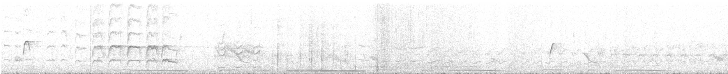 Narrow-billed Woodcreeper - ML644411599