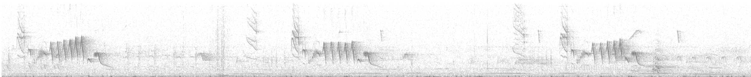 Southern House Wren - ML644411639