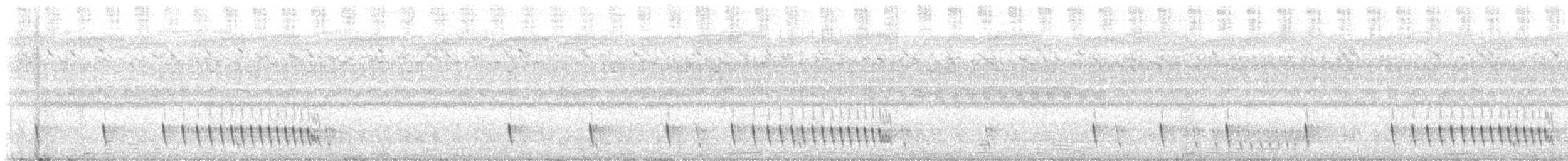 lelek džunglový - ML644412122