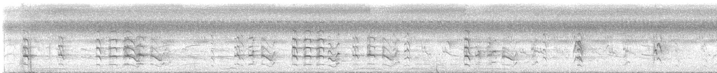 čejka černoprsá - ML644412157