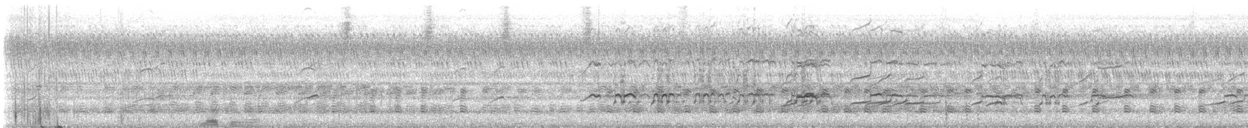 dytík indický - ML644412180