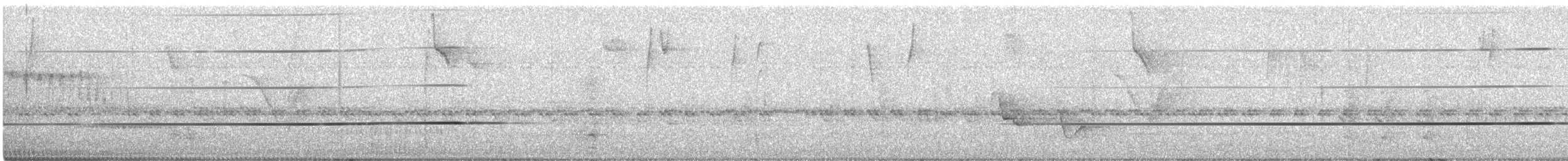 kotinga zlatočerná - ML644412361