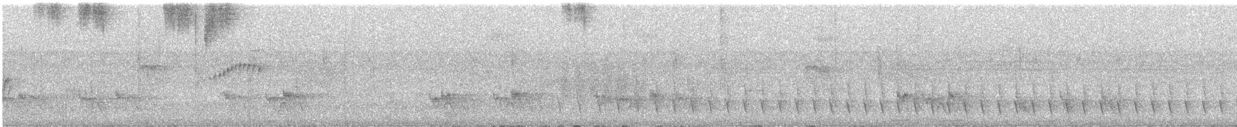 ズキンヒメアリサザイ - ML644412398