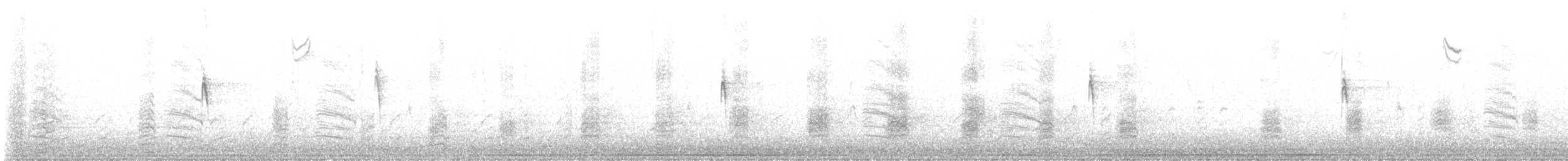 čírka obecná - ML644412614