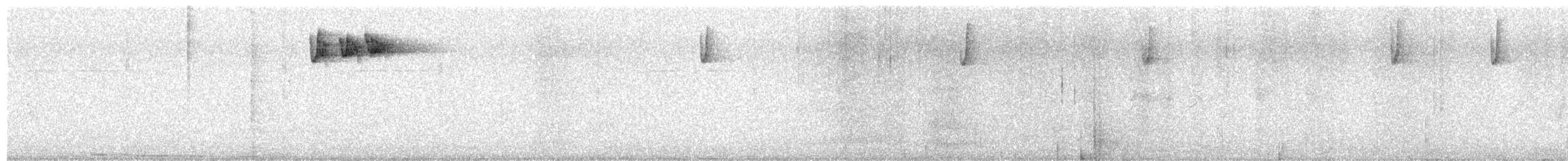 králíček obecný - ML644412892