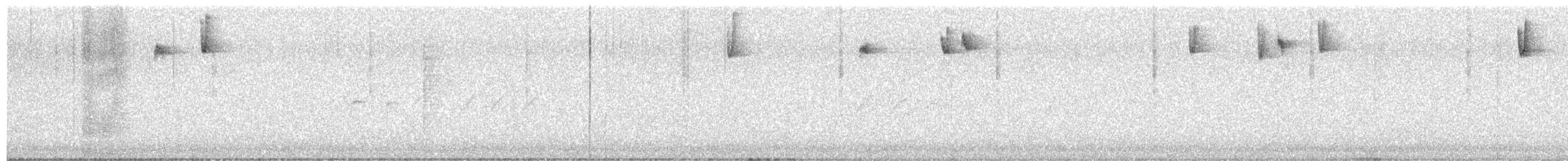 králíček obecný - ML644412920