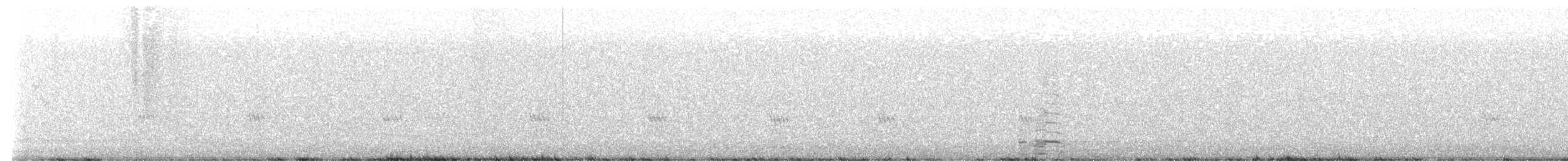 jespák skvrnitý - ML644412924