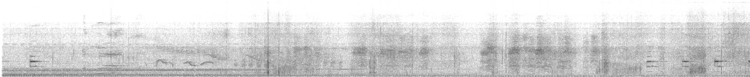 drongo vlajkový - ML644413160