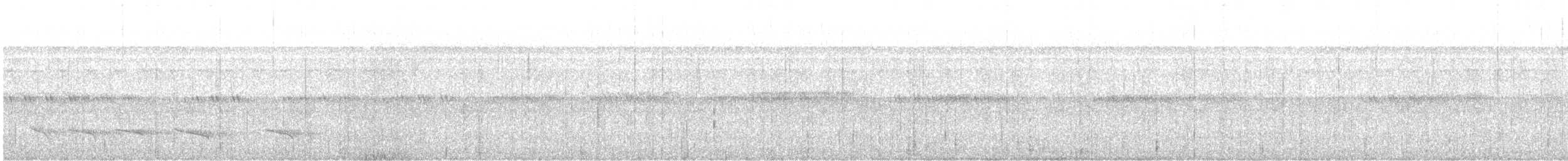 drongo vlajkový - ML644413183