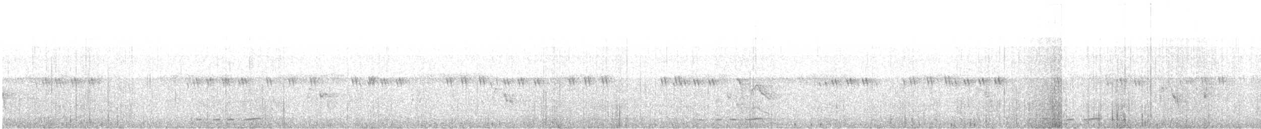 straka toulavá - ML644413292