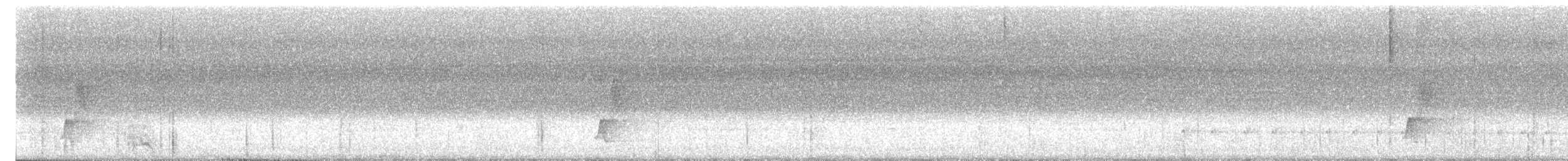 Black-hooded Antshrike - ML644414522