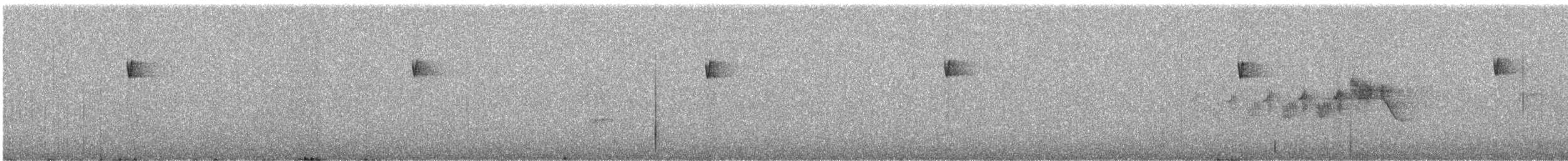 Moucherolle obscur - ML644414600