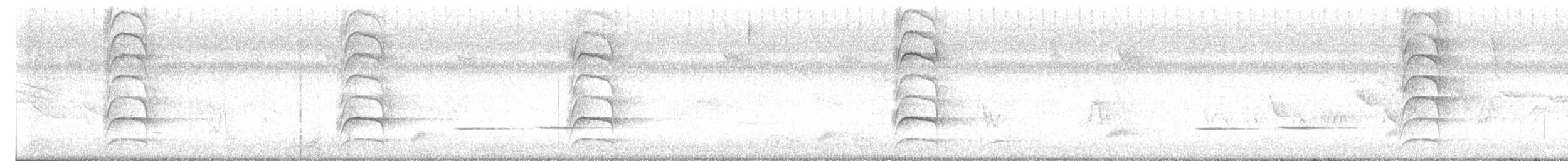 Striped Cuckoo - ML644414829