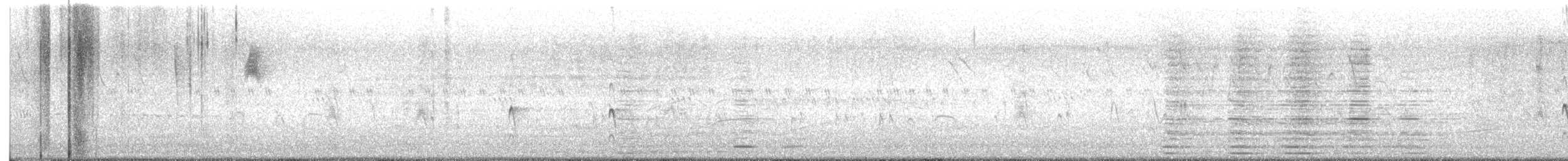 Northern/Mangrove Yellow Warbler - ML644414832