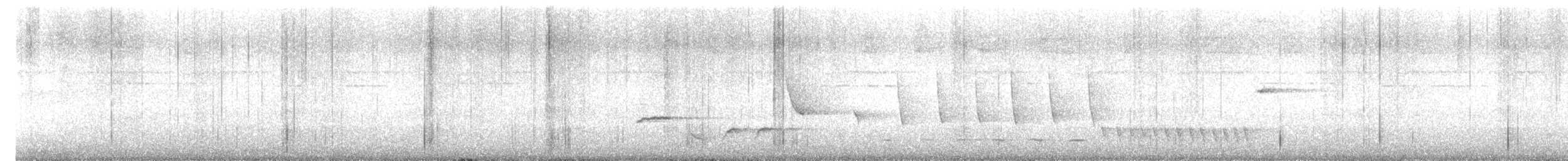 Banded Wren - ML644415119