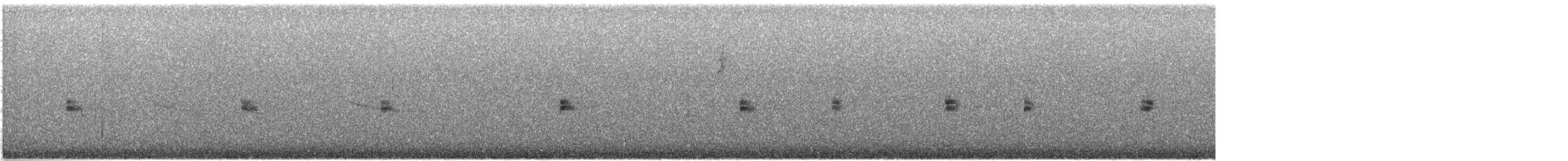 Schluchtenzaunkönig - ML644415377