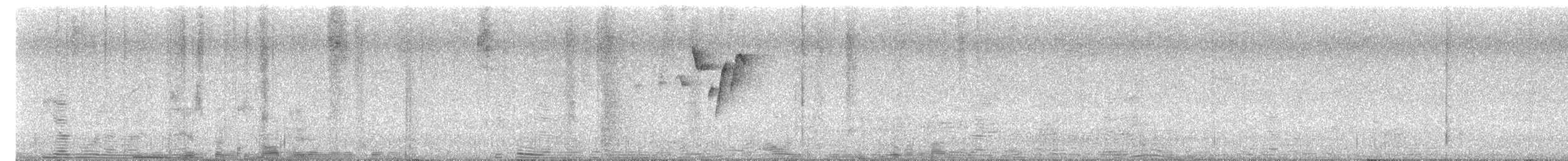 střízlík středoamerický - ML644415418