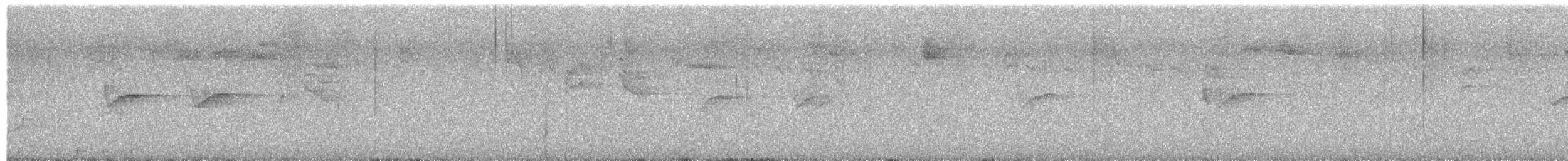 sýkora uhelníček - ML644415438