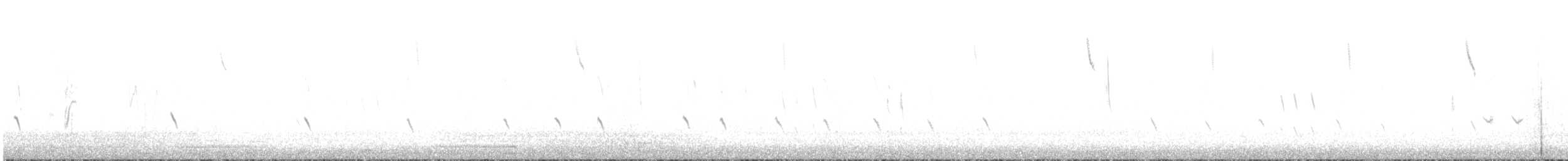 Вівсянка городня - ML644415571