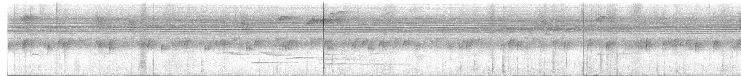 Black-faced Antthrush - ML644415613