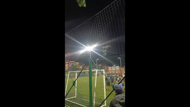 styksugle - ML644416564