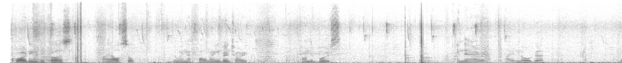 シロハラハチドリ - ML644416798