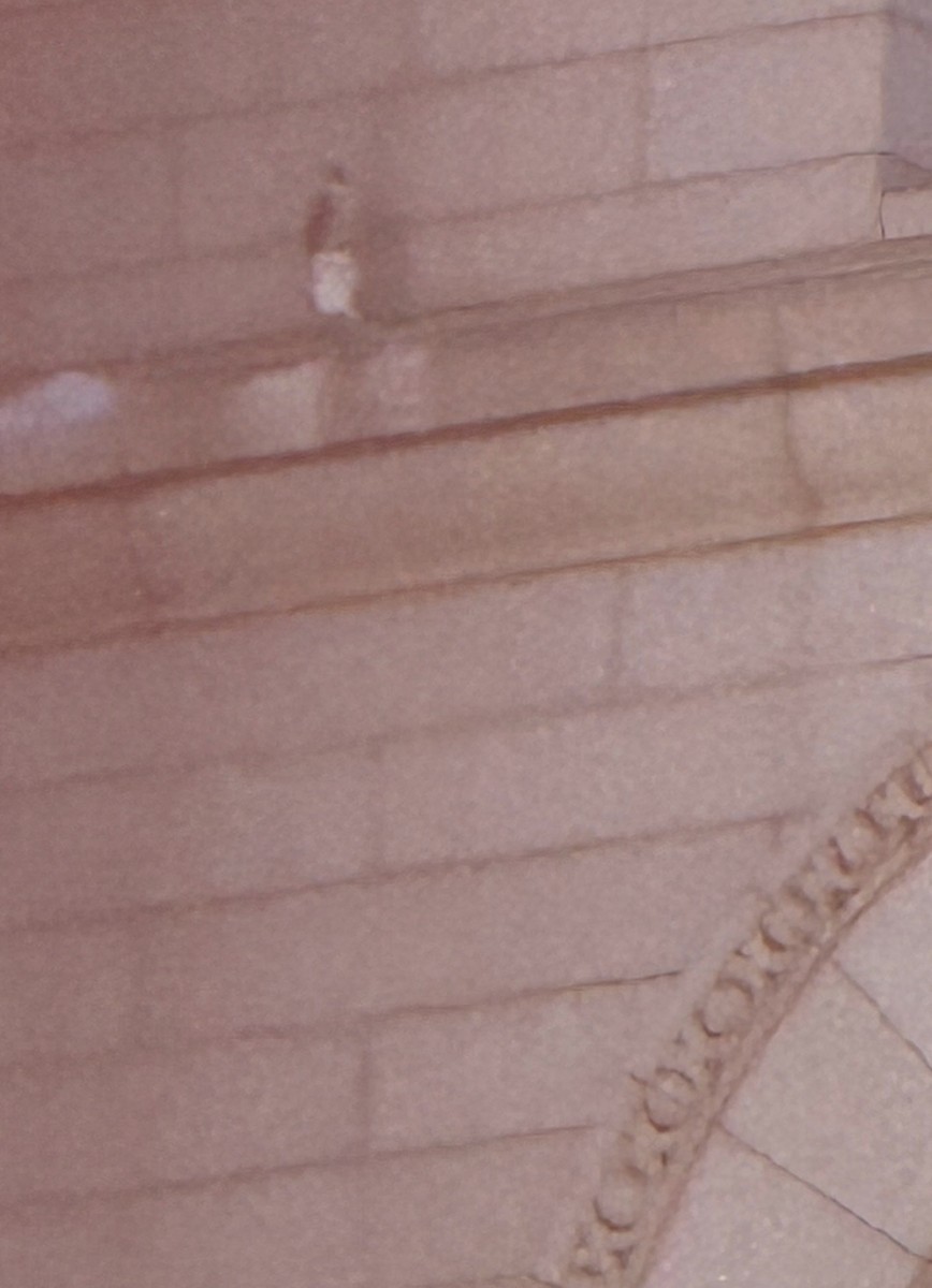 vandrefalk - ML644416958