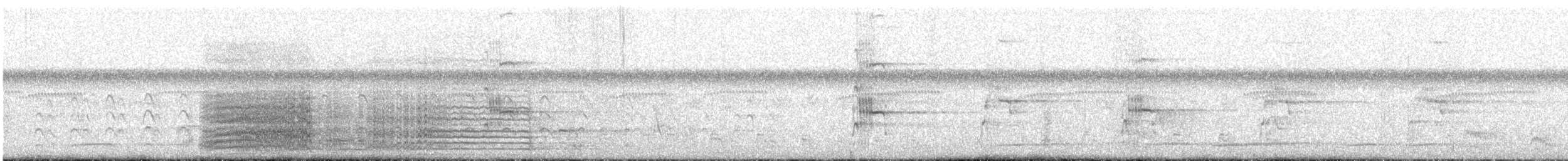 藍黃金剛鸚鵡 - ML644417024