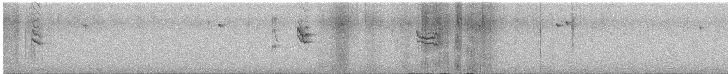 Coal Tit - ML644418191