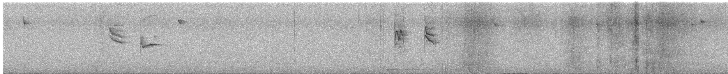 Coal Tit - ML644418192