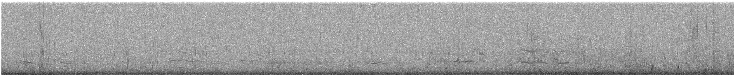 Andean Gull - ML644418357