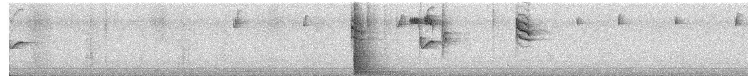 Coal Tit - ML644418368