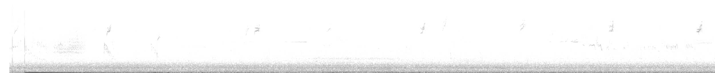 Gobemoucheron à queue noire - ML644418823