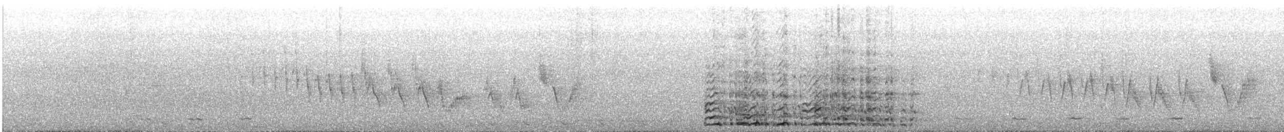 Dindon sauvage - ML644418990