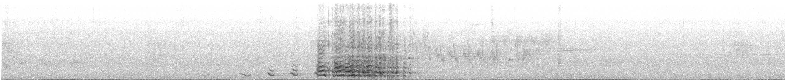 Dindon sauvage - ML644419017