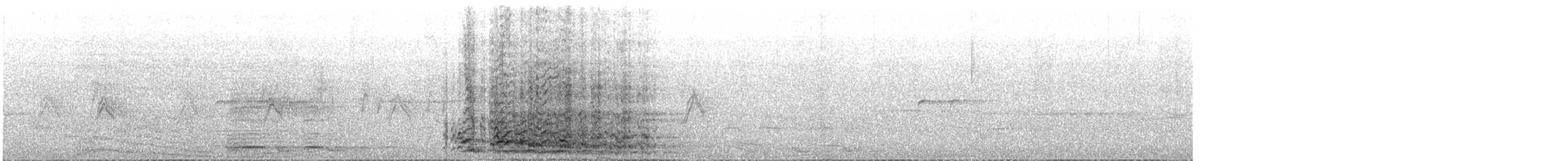 Dindon sauvage - ML644419047