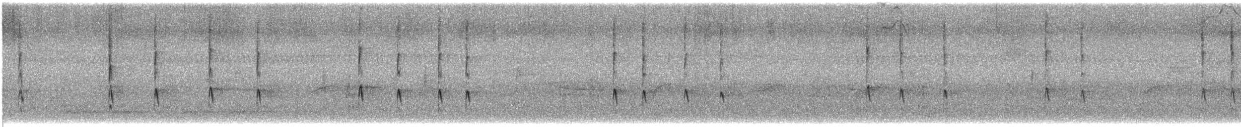 střízlík kanadský - ML644419270