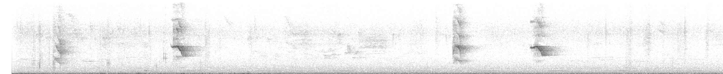 plettrupial - ML644420292