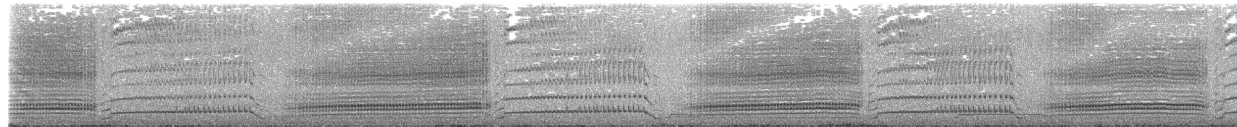 dvergpingvin - ML644420314