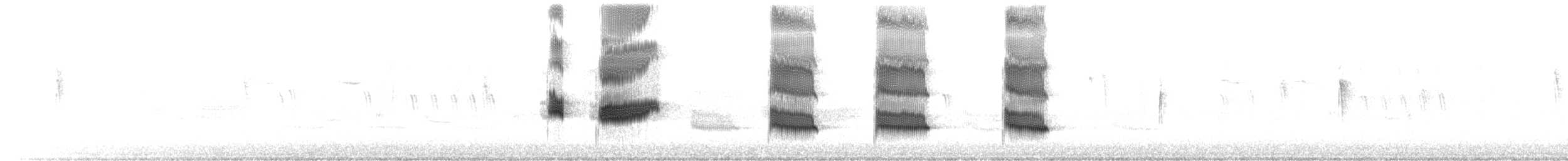 båtstjerttrupial - ML644420626