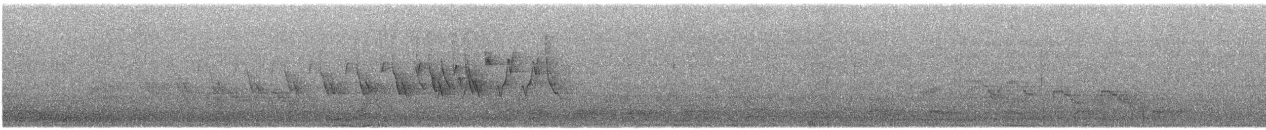 ovnparula - ML644420978