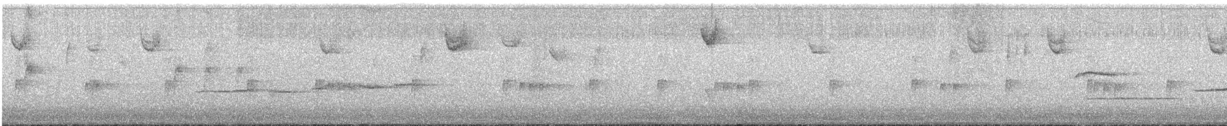 hvitstrupespurv - ML644421087