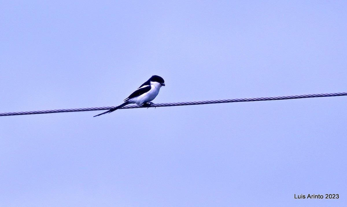 Northern Fiscal - ML644421151